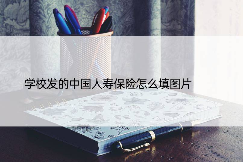 学校发的中国人寿保险怎么填图片