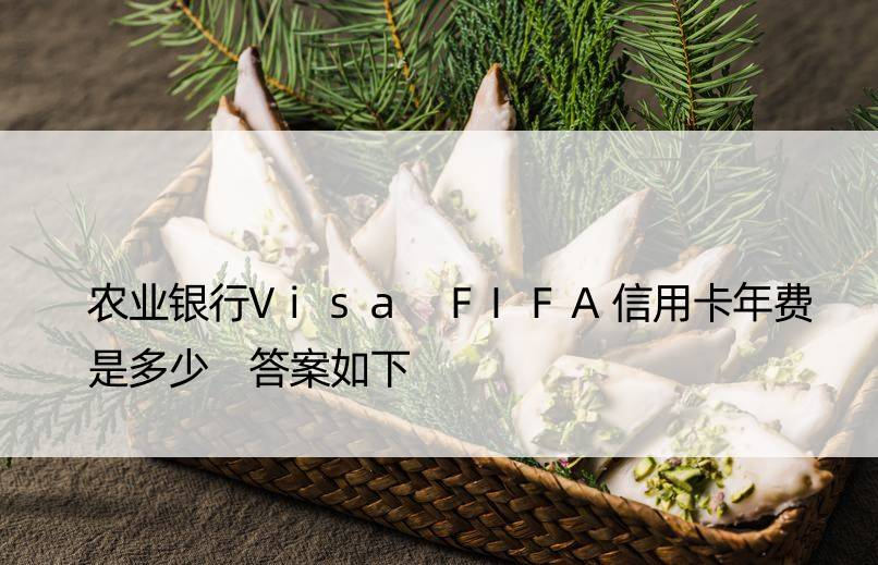 农业银行Visa FIFA信用卡年费是多少 答案如下